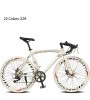 Road Bike Cycling 14 Speed 60mm Unisex SHIMANO TX-30 Double Disc Brake Ordinary Monocoque Ordinary/Standard Aluminium Alloy / Steel  